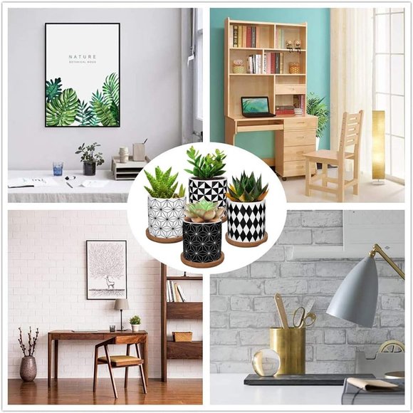 3 Inch Geometric Succulent Planter Pots with Drainage and Bamboo Tray - Picture 9 of 11